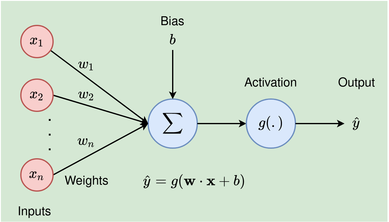 An example of a single neuron